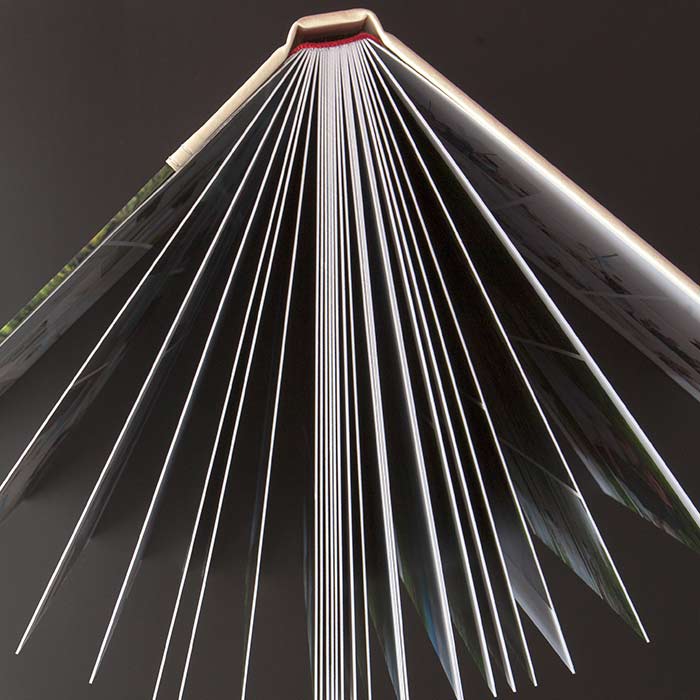 Classic Flush Mount Books Premium Lay Flat Photo Books with