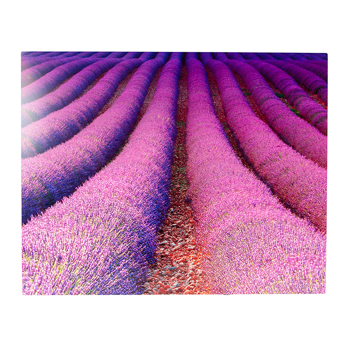 Large Metal Prints Large metal prints